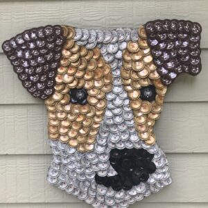 Jack Russell Terrier